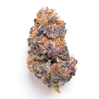 🇪🇸GELATO X ZKITTELZ CANNABIS CUP CALI SPAIN🇪🇸